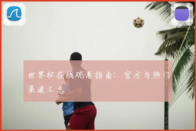 世界杯在线观看指南：官方与热门渠道汇总