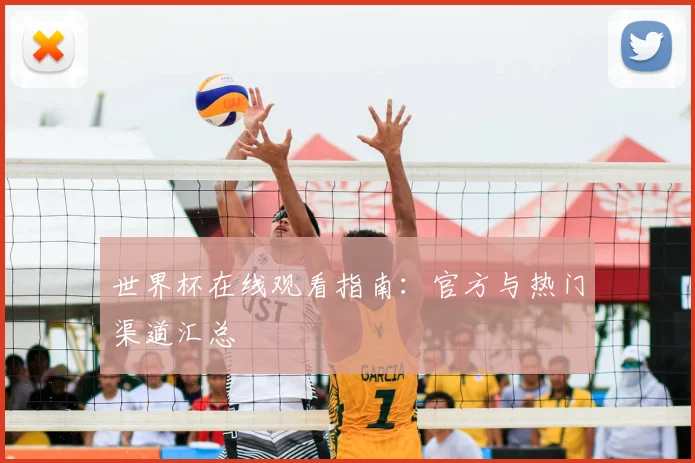 世界杯在线观看指南：官方与热门渠道汇总