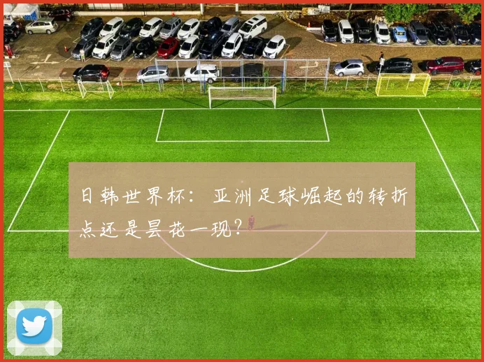 日韩世界杯：亚洲足球崛起的转折点还是昙花一现？