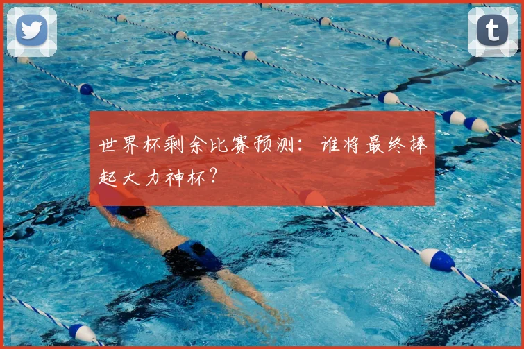 世界杯剩余比赛预测:谁将最终捧起大力神杯?