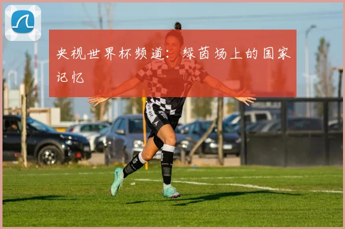 央视世界杯频道：绿茵场上的国家记忆