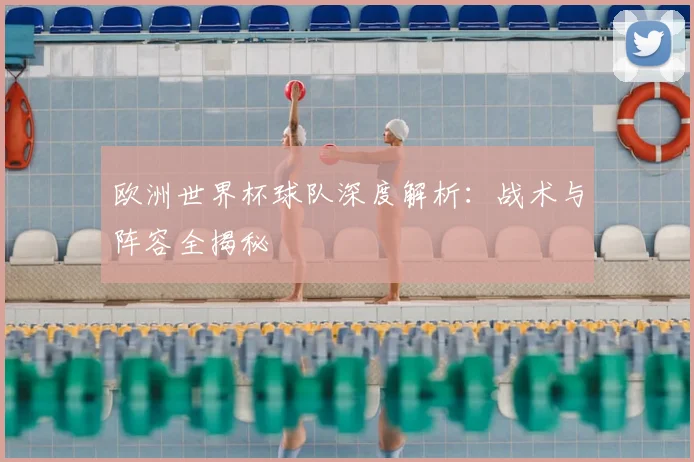 欧洲世界杯球队深度解析:战术与阵容全揭秘