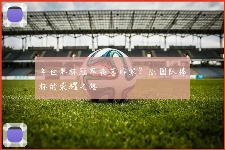 年世界杯冠军花落谁家？法国队捧杯的荣耀之路