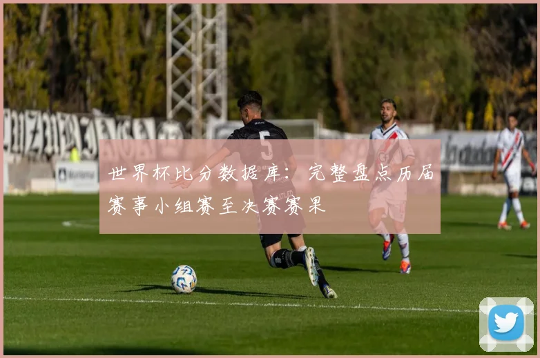 世界杯比分数据库：完整盘点历届赛事小组赛至决赛赛果