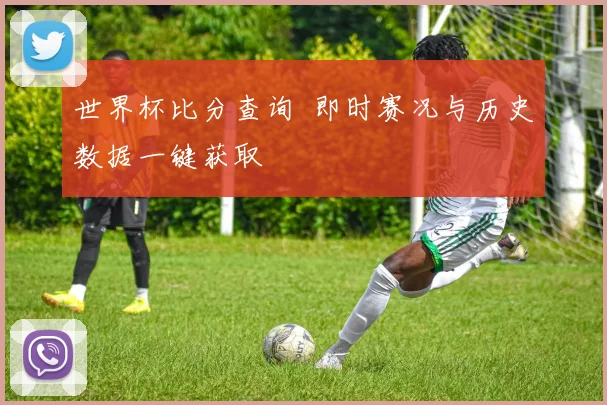 世界杯比分查询 即时赛况与历史数据一键获取
