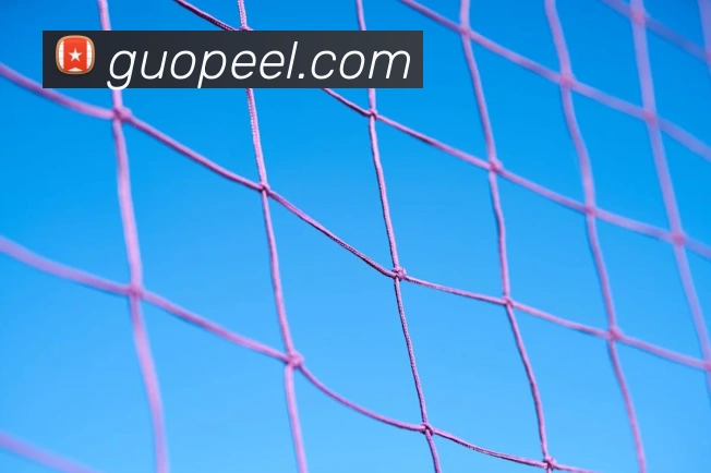 开云官方体育app官网发展历程